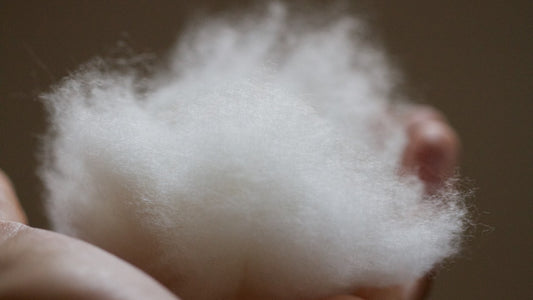The Science Behind Cashmere: Why It’s Softer and Warmer Than Wool