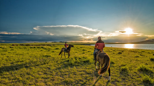 Experience the Elegance of LoveCashmere: Inner Mongolia's Finest Cashmere Treasures