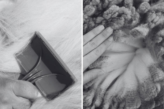 Cashmere vs. Merino: The Wool Face-Off Worth Knowing
